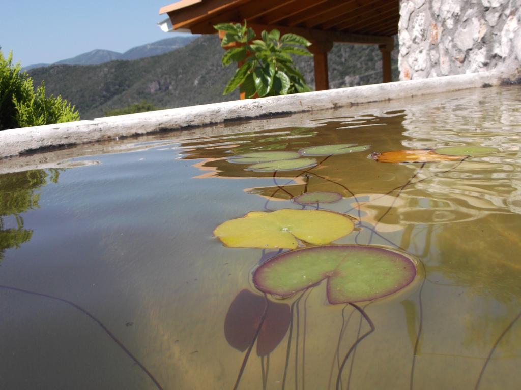 Sivros Stone Cottages Exterior foto